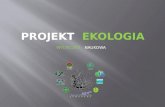 Projekt   ekologia