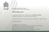 SOI Detector