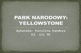 PARK NARODOWY: YELLOWSTONE