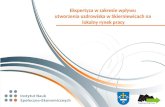 Ekspertyza w zakresie wpływu  utworzenia uzdrowiska w Skierniewicach na  lokalny rynek pracy