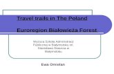 Travel trails in The Poland Euroregion Białowieża Forest