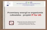 Przemiany energii w organizmie  człowieka - projekt  IT for US