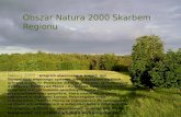 Obszar Natura 2000 Skarbem  R egionu