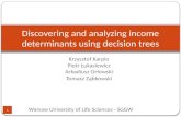 Discovering  and  analyzing income determinants using decision trees