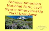 Famous American National Park, czyli s ł ynne ameryka ń skie Parki Narodowe