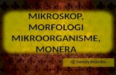 MIKROSKOP, MORFOLOGI MIKROORGANISME, MONERA