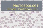 PROTOZOOLOGI - Blood Protozoa  II-
