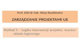 Prof. SGH dr hab. Alicja  Ryszkiewicz ZARZĄDZANIE PROJEKTAMI UE