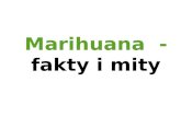 Marihuana  -  fakty i mity