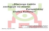 Praca wykonana na „Międzyszkolny Konkurs  LUBLIN- STOLICA KULTURY 2016”.