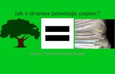 Jak z drzewa powstaje papier?