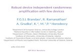 Robust device  independent  randomness amplification  with  few  devices