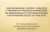 Dr Lidia  Kaliszczak Uniwersytet Rzeszowski Wydział Ekonomii