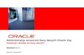Administracja serwerem bazy danych Oracle 11g Instancja i dostęp do bazy danych Wykład  nr 1