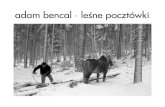 Adam Bencal - Leśne pocztówki