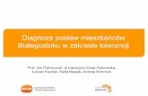 Prezentacja raportu Diagnoza postaw mieszkańców Białegostoku w zakresie tolerancji