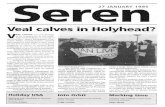 Seren - 104 - 1994-1995 - 27 January 1995