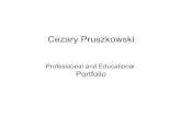 Cezary Pruszkowski - Portfolio