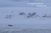 Dagmara Wojtanowicz -moja podróż do Laponii