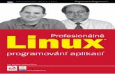 Linux profesionálně