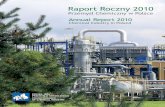 Raport roczny 2010 - Przemysł Chemiczny w Polsce (PIPC)