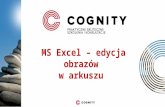 Cognity kurs Excel - edycja obrazów w arkuszu cz.1