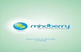 Mindberry Agencja Kreatywna