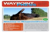 WaypointPress 01