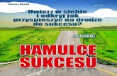 Hamulce sukcesu / Janusz Kozioł