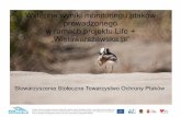 wstępne wyniki monitoringu ptaków prowadzonego w ramach projektu Life+ wislawarszawska.pl