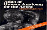 Stephen Roger Peck - Atlas de Anatomia Humana para Artistas