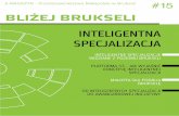 Blizej Brukseli, Nr 15 - Inteligentna Specjalizacja