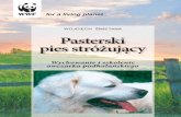 Pies pasterski - Owczarek podhalanski