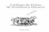 Catalogo de Fichas de Vendimia y Olivares