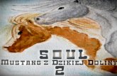 Soul: mustang z dzikiej doliny 2 odc. 10