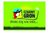 Czarny Groń - prezentacja planów inwestycyjnych.