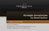Strategie Inwestycyjne na NewConnect