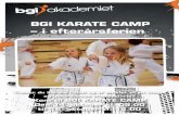 Karate camp 2013