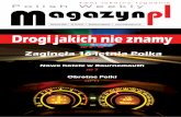 Magazyn PL - e-issue 40 2013