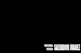 Salvador Juarez Professional Portfolio 2012