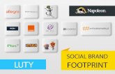 Social Brand Footprint - luty 2014