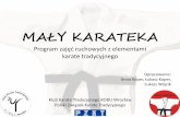 Maly Karateka - prezentacja programu