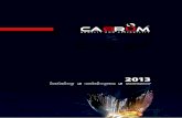 Katalog Carrum 2013