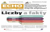 ECHO - Nowosolska Gazeta Obywatelska 2/2013
