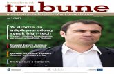 Investment Tribune 01/2013