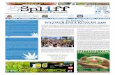 #18 Gazeta Konopna Spliff