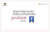 Raport aktywności branż na Facebooku - Grudzień 2012