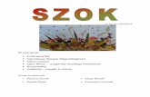 Gazetka SZOK 1/2010/2011
