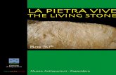 The Living Stone - La pietra vive.