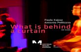 "WHAT IS BEHIND A CURTAIN"